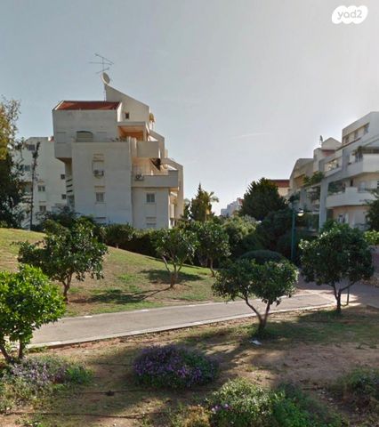 פרופ' דינור 