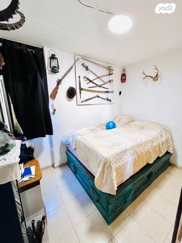 דירה, צין, ערבה, אילת