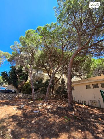 בית פרטי/ קוטג', איריס, רמת התשבי, חיפה