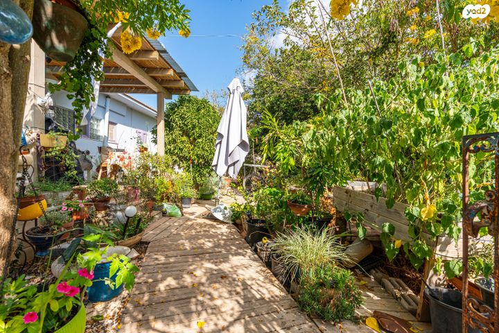 בית פרטי/ קוטג', ברנדייס 25, ברנדייס, חדרה