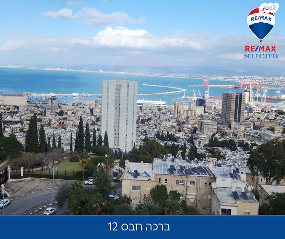 דירה, ברכה חבס, הדר עליון, חיפה