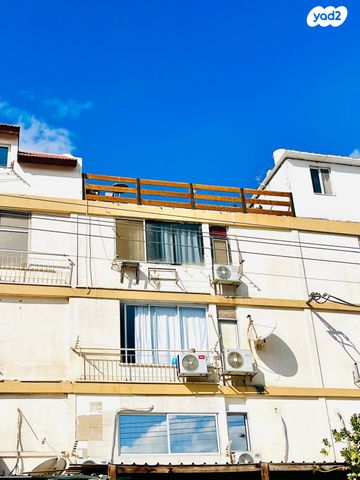 דירה, צין, ערבה, אילת