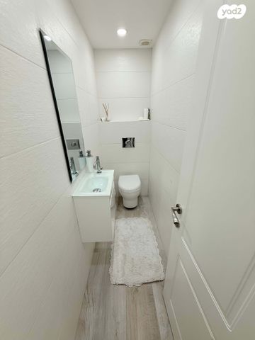 דירה, סמולנסקין, המרכז האזרחי, רמלה