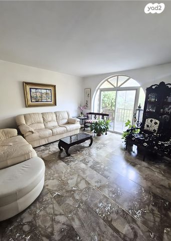 רבנו פוליטי 