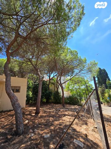 בית פרטי/ קוטג', איריס, רמת התשבי, חיפה