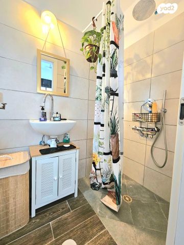 דירה, השופט ברנדייס, פתח תקווה