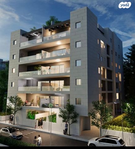 דוד וולפסון 