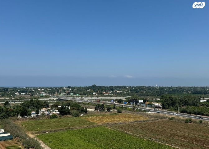 גג/ פנטהאוז, שאר העיר, הרצליה