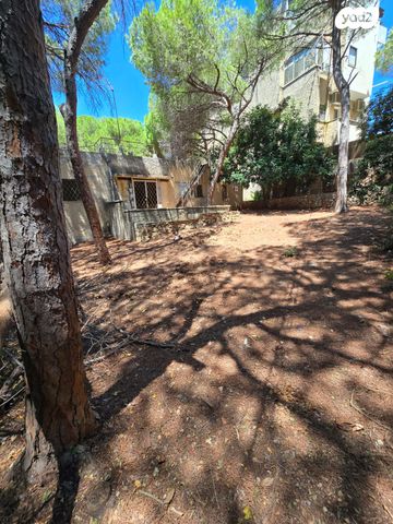 בית פרטי/ קוטג', איריס, רמת התשבי, חיפה