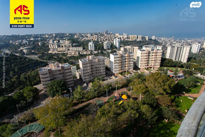 משה גוט לוין 