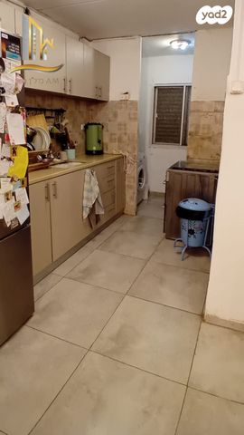 דירה, המעפילים, בית שאן