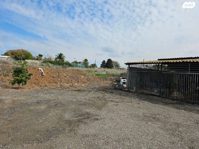 משק חקלאי/ נחלה, זוהר