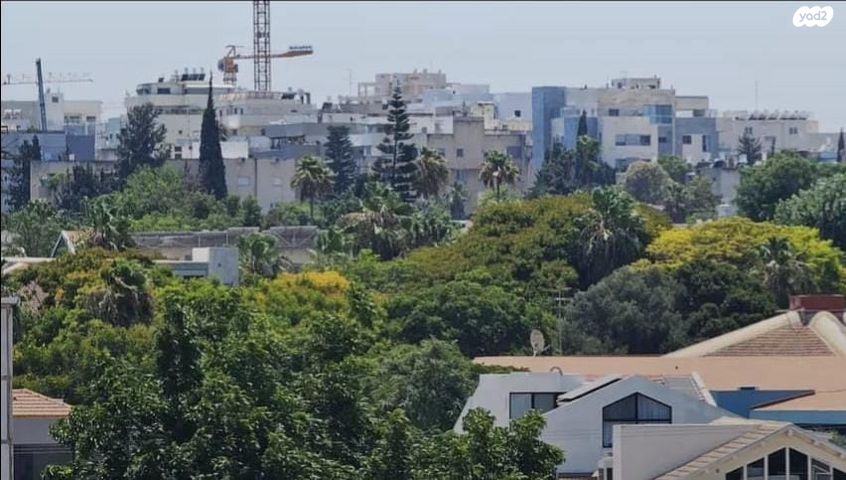 דירה, דבורה עומר, נאות שדה, רעננה