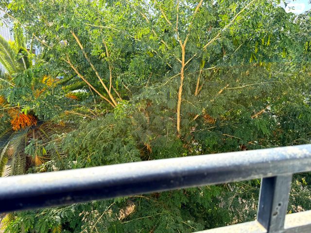 דירה, תכנית ל', למד, תל אביב יפו