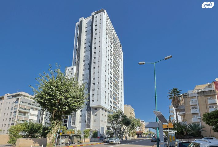 דוד וולפסון 