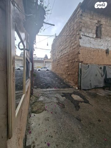 דירה, קיבוץ גלויות, העיר התחתית, ואדי סאליב, חיפה