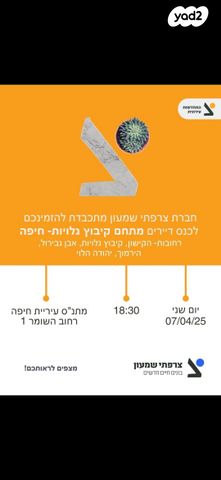 דירה, קיבוץ גלויות, העיר התחתית, ואדי סאליב, חיפה
