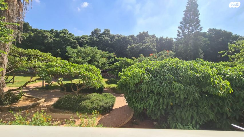 דירה, באר אורה, רמת גן