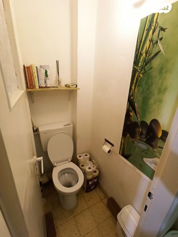 דירה, אסתר המלכה, נווה דוד, חיפה