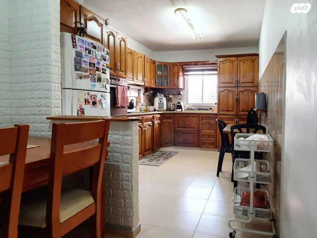 אריה בן אליעזר 