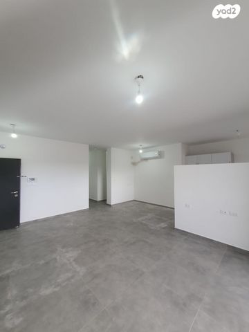 דירה, אדמונית, לב העמק, עפולה