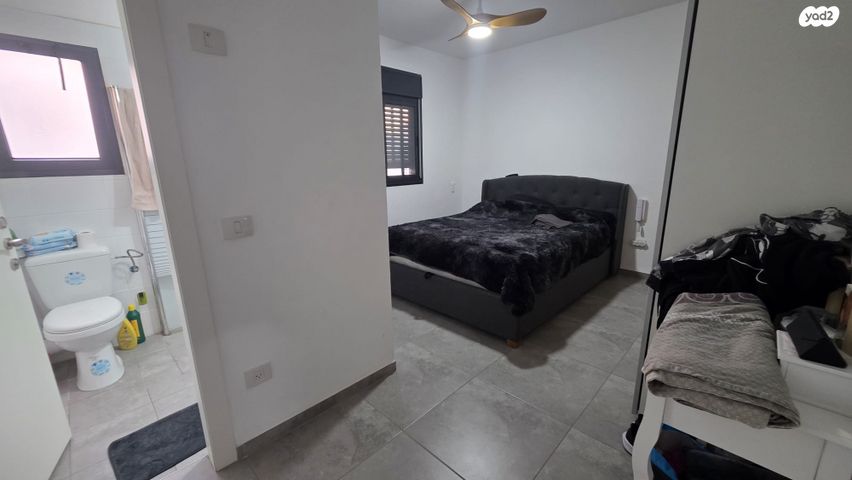 דירה, עץ המשאלות, אדמית / יערית, שלומי