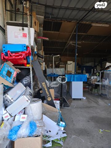 מחסנים, רינתיה