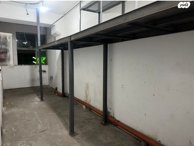 נפתלי פלטין 6