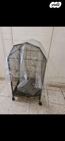 תמונת מודעה - חיות מחמד