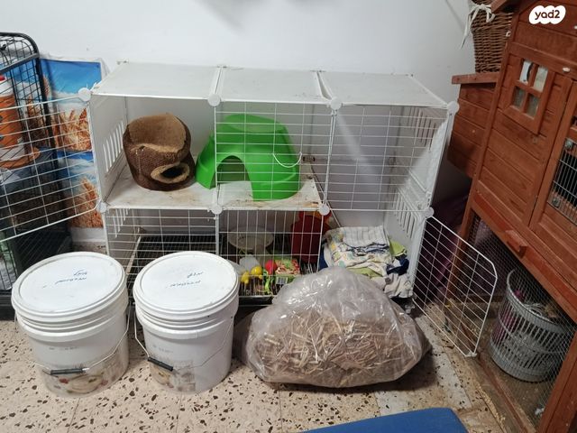 תמונת מודעה - חיות מחמד