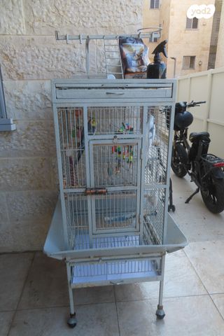 תמונת מודעה - חיות מחמד