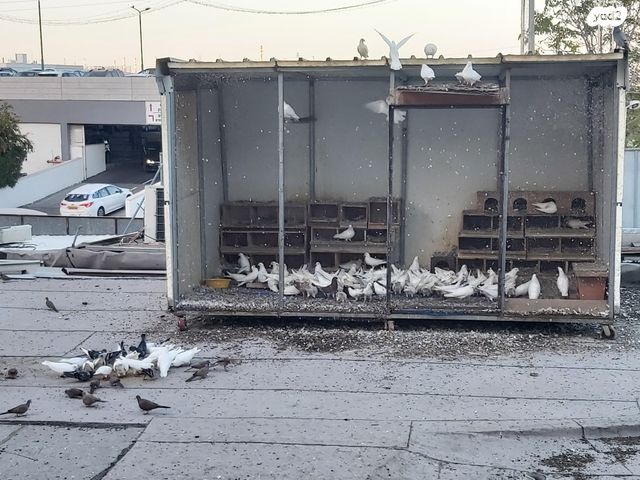 תמונת מודעה - חיות מחמד