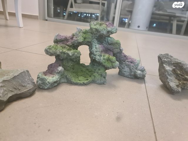 תמונת מודעה - חיות מחמד