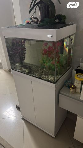 תמונת מודעה - חיות מחמד