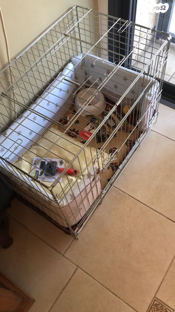 תמונת מודעה - חיות מחמד