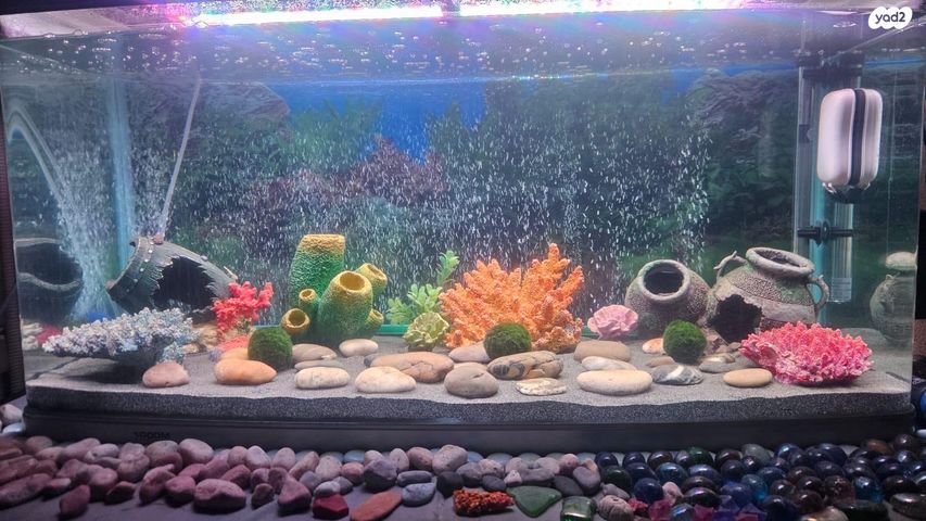 אביזרים | אקווריום