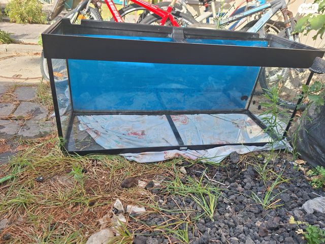 אביזרים | אקווריום