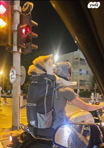 מודעת רכב יונדאי קונה