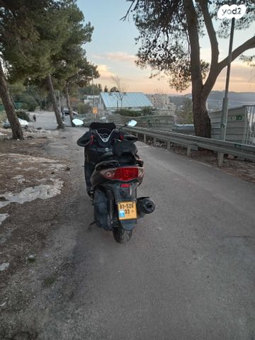 סאן יאנג ג'וי-מקס 300 XI