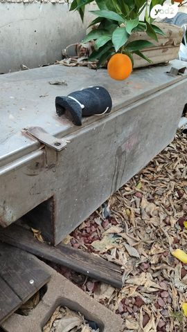 feedItemObj.data.row_1