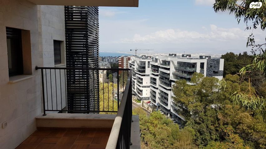 זלמן שניאור 19