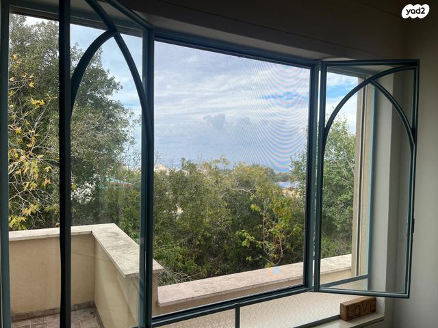 כליל החורש 1