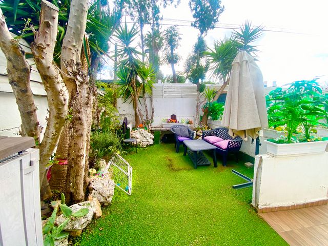 מרדכי אנילביץ' 15