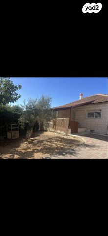 דרך חלמית 54