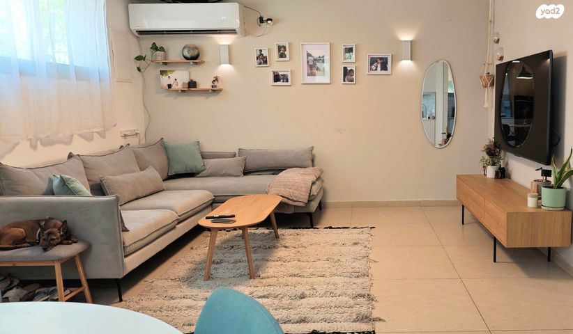 שרה לוי תנאי 1