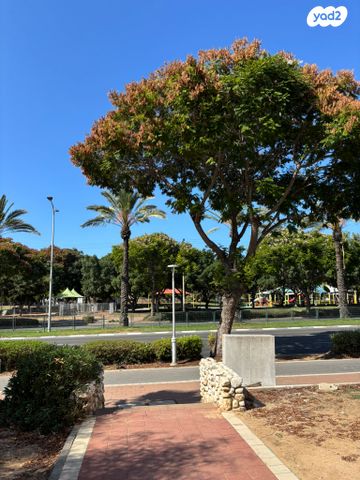 דירה, נתן אלבז 6, רובע ו', אשדוד