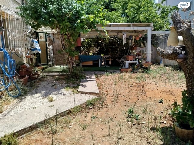 דירת גן, חלוצת הפרדסנות 17, קרול, פתח תקווה