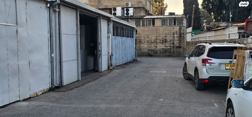 אריה שנקר 13