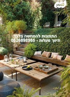 מאיר פיינשטיין 