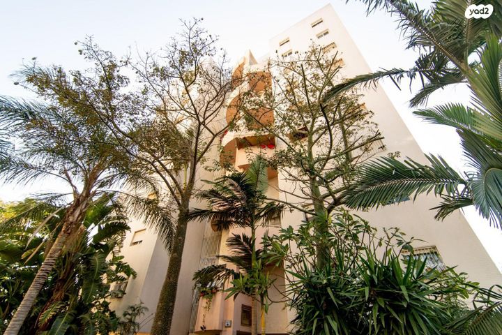 יונה צבי פיינשטיין 